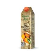 Kampos Chios Nfc Orange Bits Juice 1L