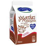 Σοκολατούχο γάλα 250ml