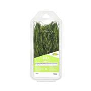 Alion Fresh Dill 70g