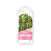 Alion Fresh Coriander 70g