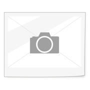 Jute cooler bag ( 34 x 27.5 x 32cm )