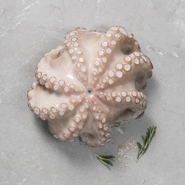 Χταπόδι Σενεγάλης 2.500g