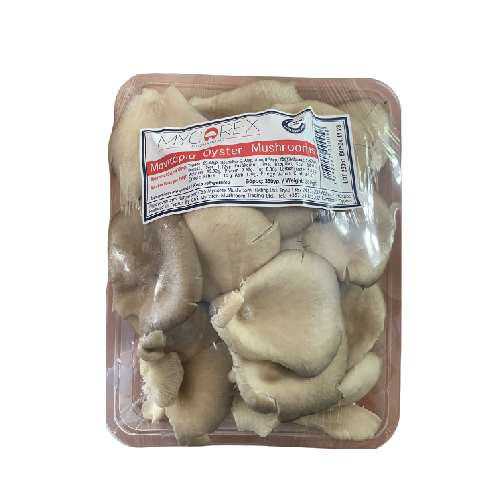 Μανιτάρια Πλευρώτους