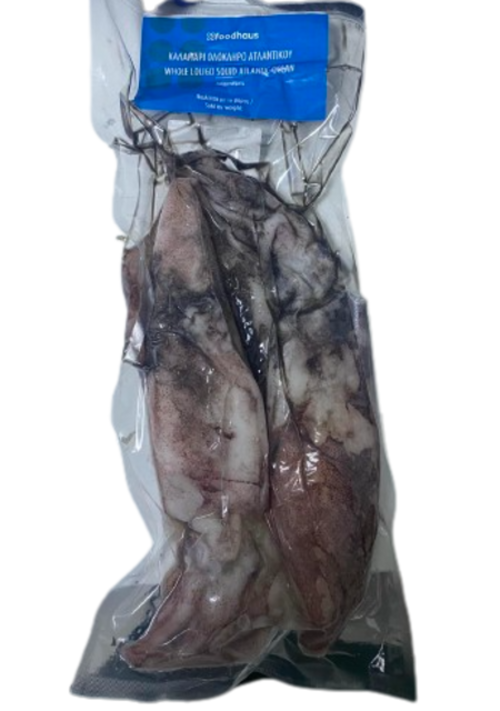 Loligo whole squid 300/500 Loligo whole squid 300/500